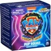 PAW PATROL mini figūrėlė, Pup Squad, 6067087