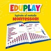 Incastro rinkinys Eduplay , 100 vnt. (IN0539)