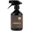 Candle Family Bekvapė valymo priemonė kalkėms ir rūdims, 500 ML