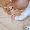 Fabelab Migdukas-avytė 'Karamelė'