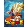 Herding Dragonball ‘Drakonų kova‘ Wellsoft Vaikiškas užtiesalas