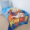 Herding Dragonball ‘Drakonų kova‘ Wellsoft Vaikiškas užtiesalas