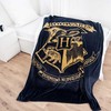 Herding Harry Potter ‘Haris Poteris‘ Wellsoft Vaikiškas užtiesalas