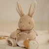 Little Dutch Lavinantis žaislinis triušis 'Baby Bunny'