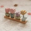 Little Dutch Sustatomos gėlės 'Fairy Garden'