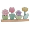 Little Dutch Sustatomos gėlės 'Fairy Garden'