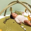Trixie Mažas pliušinis žaislas 'Dinozauras'