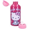 Vaikiška metalinė gertuvė Hello Kitty Really Refreshing