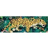 Djeco Dėlionė - Leopardas (1000 detalių) ( DJ07645 )