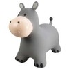 Find That Hippo Pripučiamas šokliukas Begemotas Holgeris