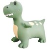 Find That Hippo Pripučiamas šokliukas Dinozauras Deksteris