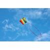 Berėmis aitvaras Vaivorykštė