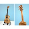 Koncertinė ukulelė Condorwood UC-2460