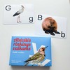 Lietuvos Kurejai Lavinamųjų kortelių rinkinys "Sudėk raides"