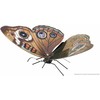 Metal Earth Metalinis 3D konstruktorius "Drugelis Buckeye"