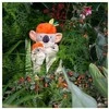 Moulin Roty Veiklos žaislas "Koala"