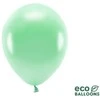 PartyDeco Ekologiški balionai "Mėtiniai" 10vnt