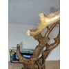 Ecost prekė po grąžinimo Nobby Aqua Ornamentai Šaknys 15,0 x 8,0 x 17,5 cm (Atnaujinta)