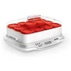 Ecost prekė po grąžinimo SEB YG661500 Multi Délices Express Yoghurt Maker Baltas / Raudona (Atnaujinta)