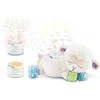 Ecost prekė po grąžinimo VTech Baby 3-in-1 Sternenlicht-Schaaf – žaisminga žvaigždžių šviesa – žaisl (Atnaujinta)