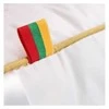 Comco Trijų skyrių žąsų-ančių pūkų pagalvė Pagalvės matmenys - 70x70 cm