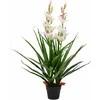 Dirbtinė Cymbidium orchidėja su vazonu, 100cm, žalia