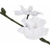 Dirbtinė orchidėja su vazonu, 30 cm, balta