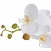 Dirbtinė orchidėja su vazonu, 65 cm, balta