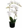 Dirbtinė orchidėja su vazonu, 65 cm, balta