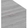 Kavos staliukas, pilkas ąžuolo, 100x49,5x31cm, apdirbta mediena