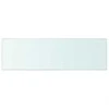 Lentynos, 2vnt., skaidrios, 80x25cm, stiklo plokštė (243835x2)