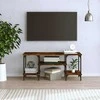 TV staliukas Televizoriaus spintelė, dūminio ąžuolo, 102x35x45,5cm, mediena