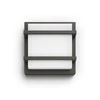 Sieninis LED lauko šviestuvas PHILIPS PETRONIA, IP44, 2700 K, 12 W, 1200 lm, antracito sp.