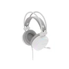 Genesis RGB Ausinės Žaidimams | Neon 613 G2 | su laidu | Over-ear | Mikrofonas | Baltas