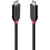 USB Kabelis - LINDY USB4 Type C Laidas, M/M, 40Gbps, 240W, 2 m, Juodas