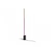 Grindų šviestuvas Philips HUE Gradient Signe, Juodas