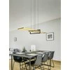 Pakabinamas šviestuvas Pakabinamas LED šviestuvas TRIO SALINAS, 34W, max 4200lm, 3000K, dimeriuojamas, 100x40xh150 cm