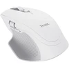 Trust Ozaa+ pelė Office dešinei rankai RF belaidė + Bluetooth Optinė 3200 DPI