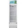 Šaldiklis VITRINA FRIGORIFICA HEINNER HSC-M265WHB