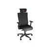 Genesis Ergonomic Chair Astat 700 Pagrindinė medžiaga Aliuminis; Ratukų medžiaga: nailonas su CareGlide danga | Juodas