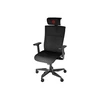 Genesis Ergonomic Chair Astat 700 Pagrindinė medžiaga Aliuminis; Ratukų medžiaga: nailonas su CareGlide danga | Juodas