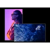 Monitorius Sony FW-98BZ53L - FW-98BZ53L 98 PRO BRAVIA LCD 780