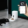 Tellur WiFi Smart Pet Feeder, UltraHD Camera, 4L, Baltas