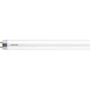 LED lempa PHILIPS, T8, G13, 20 W, 6500 K, 2000 lm, 150 cm