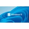 „Microsoft Windows 11 Pro“ darbo stotims [DE] DVD