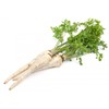 Alba Root Parsley PNOS sėklos ant juostelės, 6 m juostelė