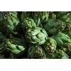 Toraf artišokų sėklos Vert de Provence 1g