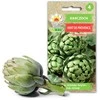 Toraf artišokų sėklos Vert de Provence 1g