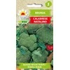 „Toraf“ brokolių sėklos „Calabrese Natalino“ 1 g