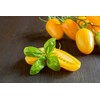 Toraf TORAF VEGETABLES pomidorų Perun sėklos 0,5 g
